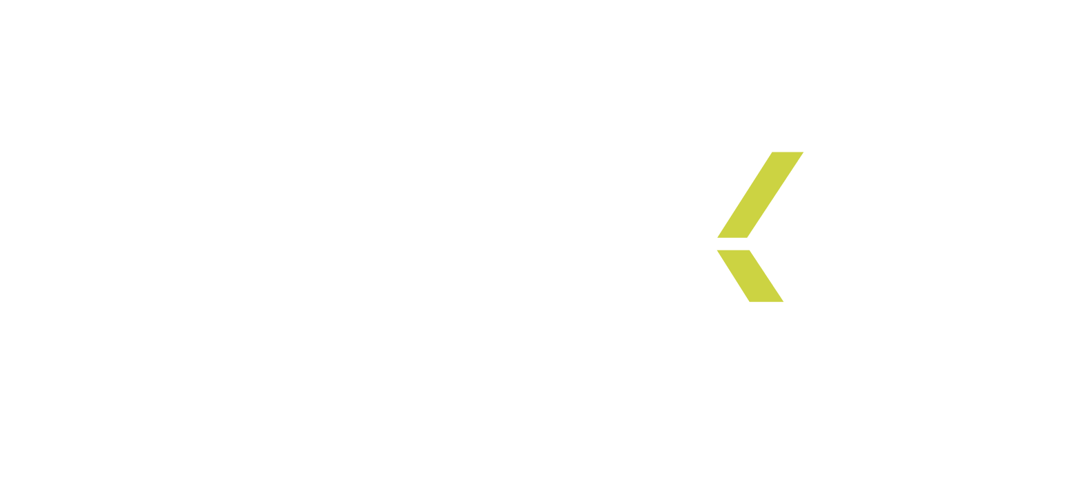 Logo Panexa